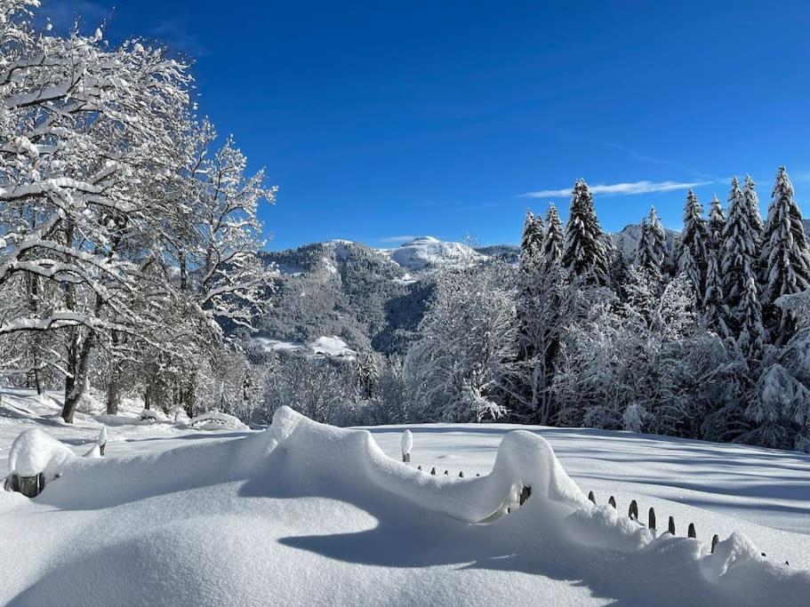 Chalet Alpage Proche Genève Mégevette Extérieur photo