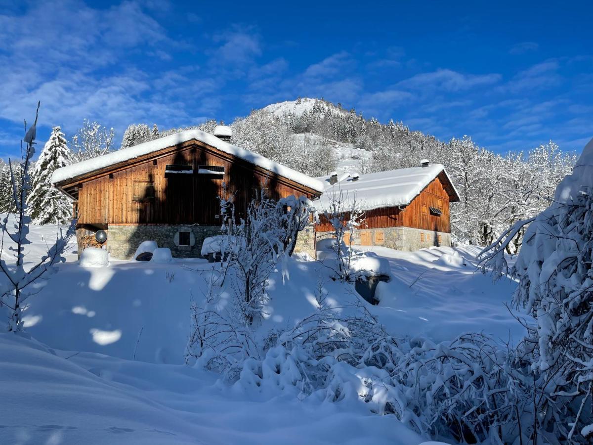 Chalet Alpage Proche Genève Mégevette Extérieur photo