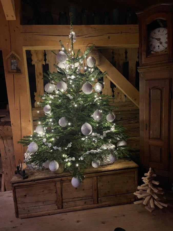 Chalet Alpage Proche Genève Mégevette Extérieur photo