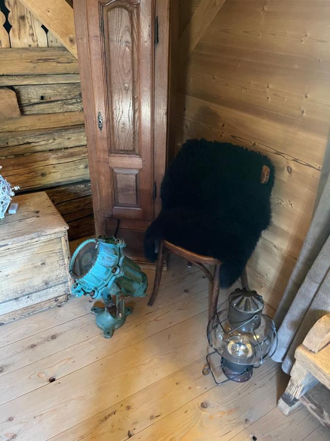 Chalet Alpage Proche Genève Mégevette Extérieur photo