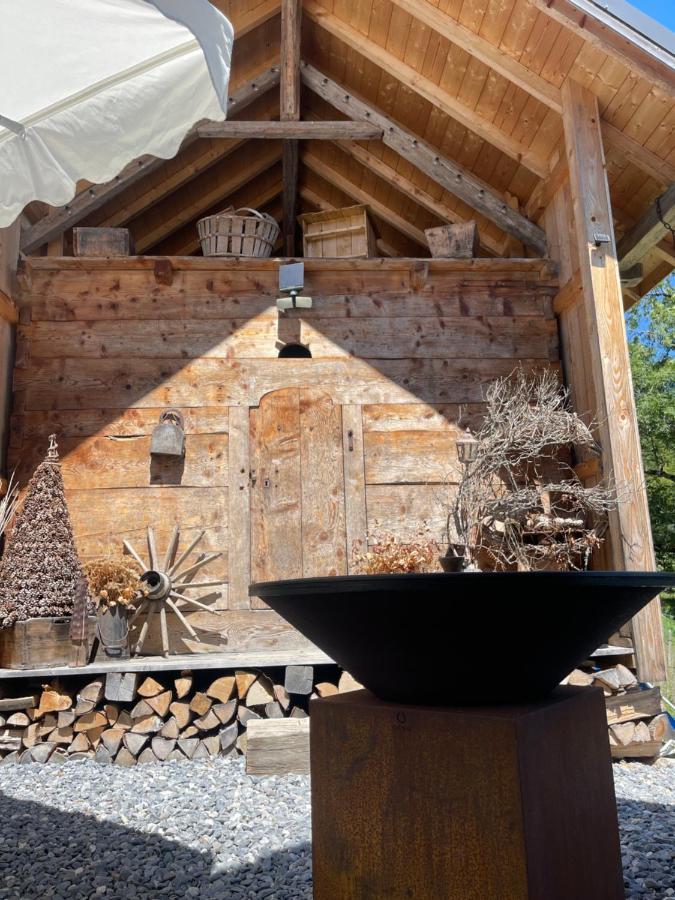 Chalet Alpage Proche Genève Mégevette Extérieur photo